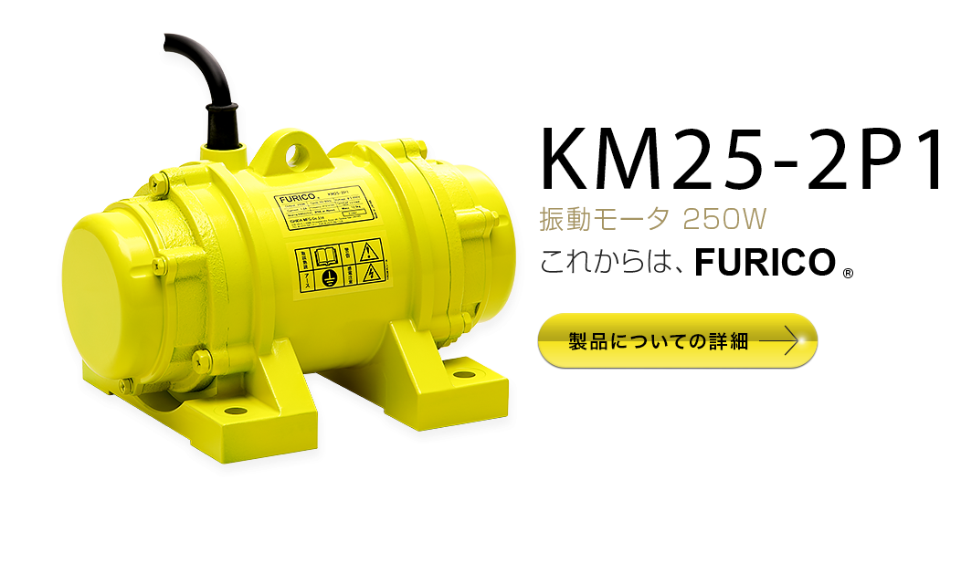 KM25-2P1